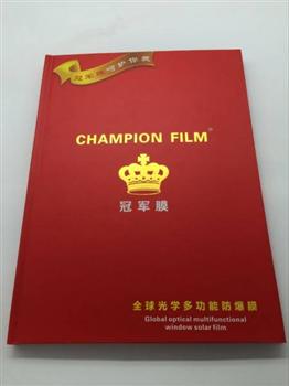 冠軍膜畫冊(cè)